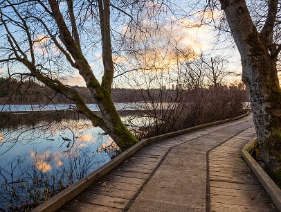 city path in the park with a nature view 2025 03 18 10 20 05 utc 1.jpg