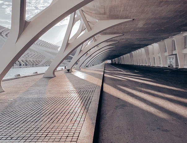 shadows 2024 12 04 02 28 30 utc 1.jpg